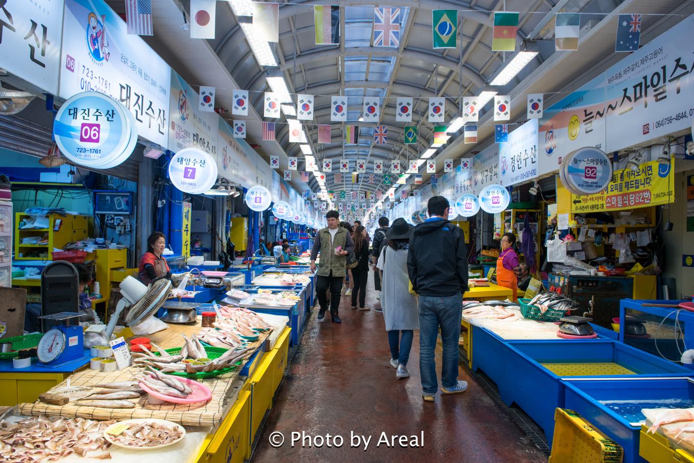 济州岛一日游美食探索,济州岛白天美食攻略