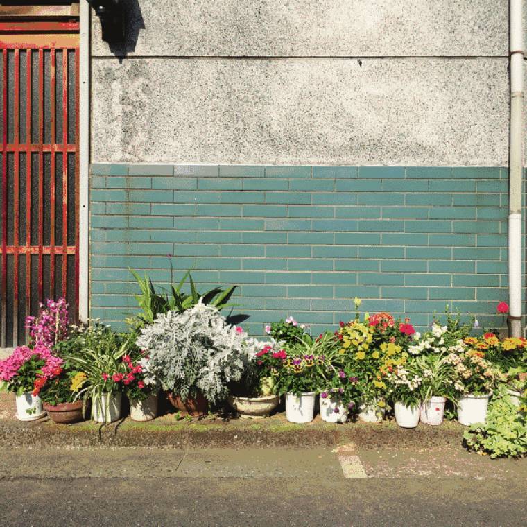 东京花店,东京南青山花店