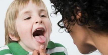 舌头下面那个“系带”，是干啥用的呢