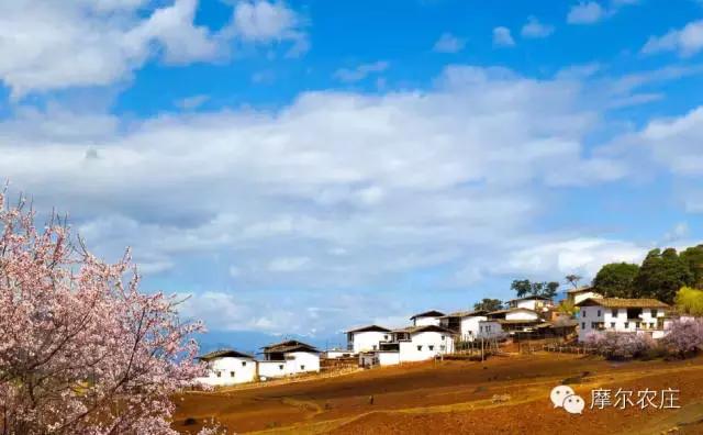 衡水你好，我叫云南，这是我的简历