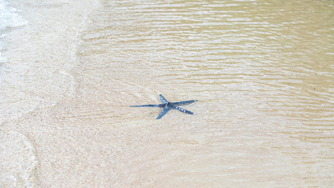 库克，上帝最秘密的存在