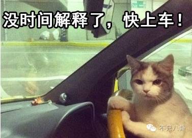 张若昀演的唐山海是什么电视剧,张若昀唐山海美照