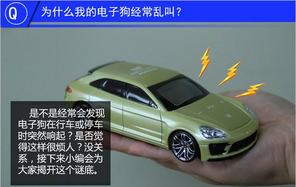 *子狗电**摆放位置也影响雷达探测结果,你知道*子狗电**怎样工作吗?