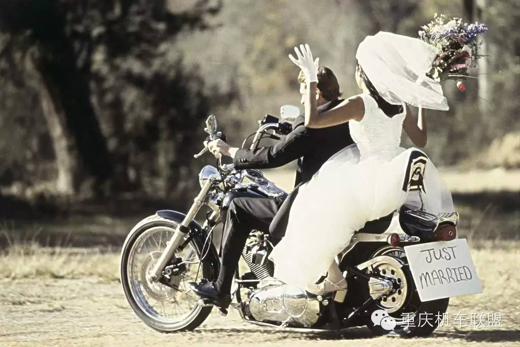 我为什么要骑自行车,我为什么要骑公路车