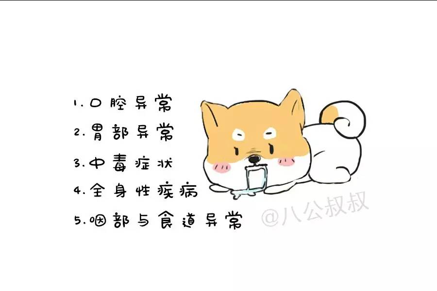 大狗为什么喜欢流口水,狗狗为什么流那么多口水