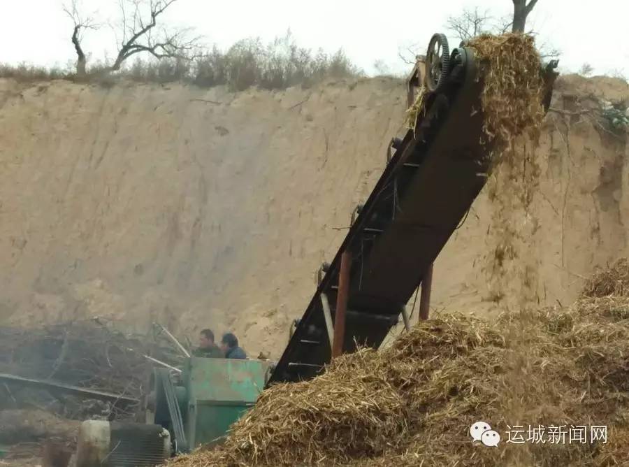 废枝条利用,废旧果枝回收