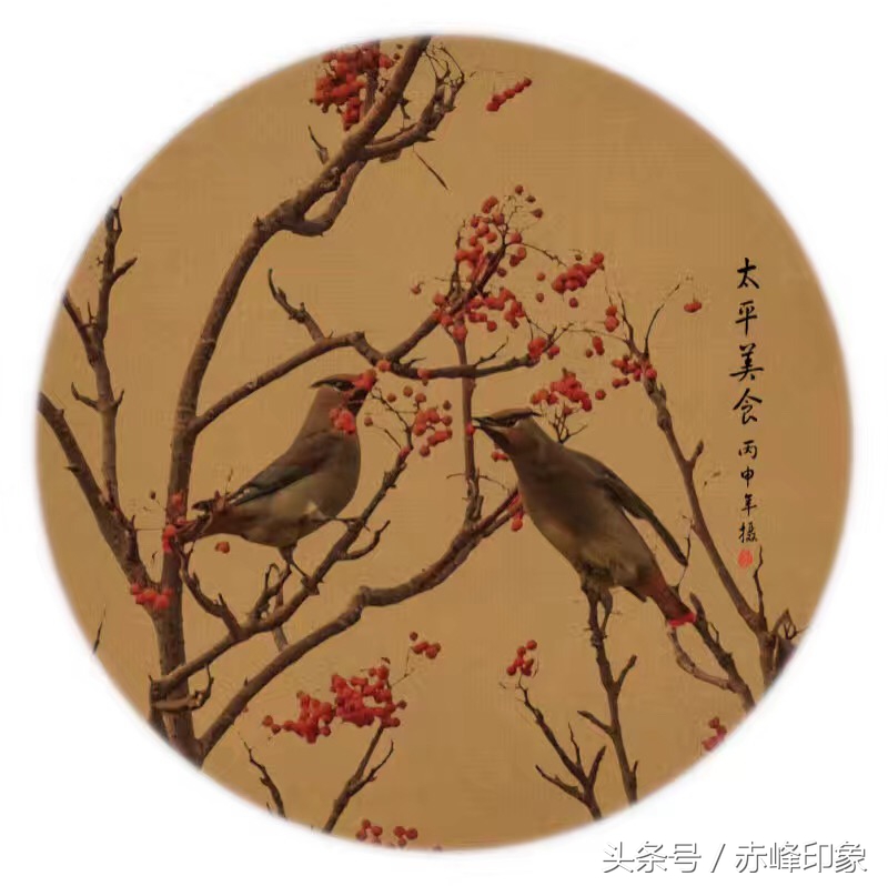 常闻摄影作品欣赏｜双鸟图