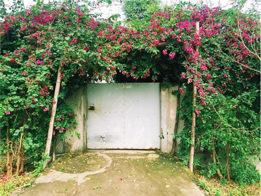 拖家带口去大城市,三亚东方夏威夷