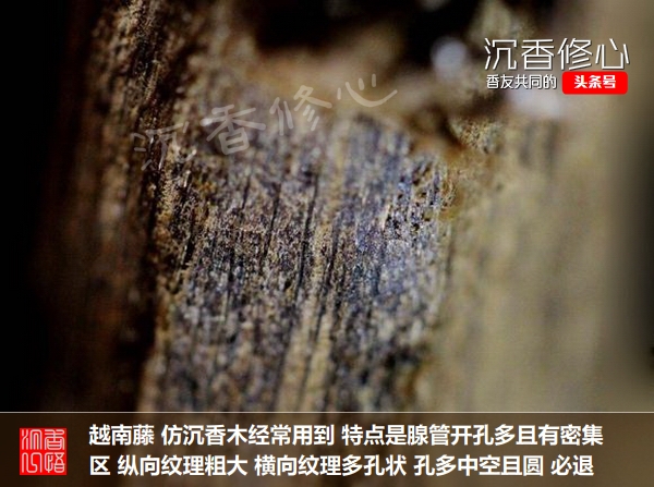 沉香假货为什么不处理,千万别错买假沉香的几个特点
