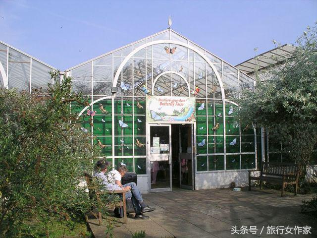 冬天到了应该去温暖的地方,冬天到西双版纳过冬太舒服了