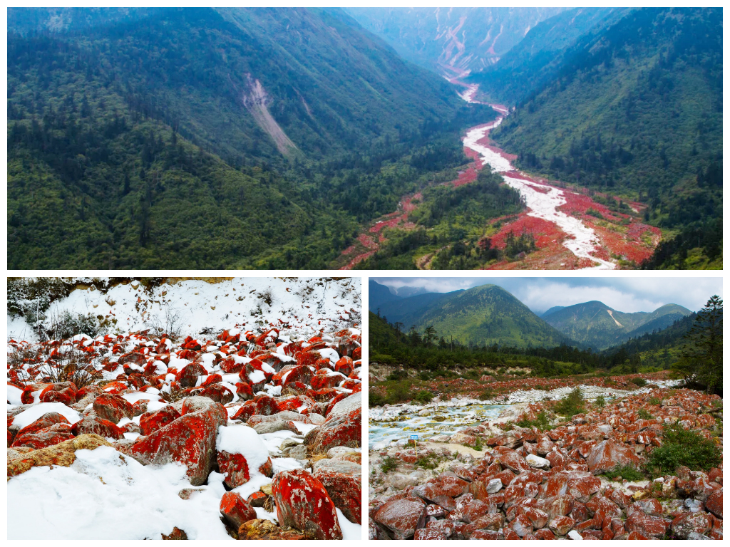 不要高反还想看冰川？来海螺沟啊！