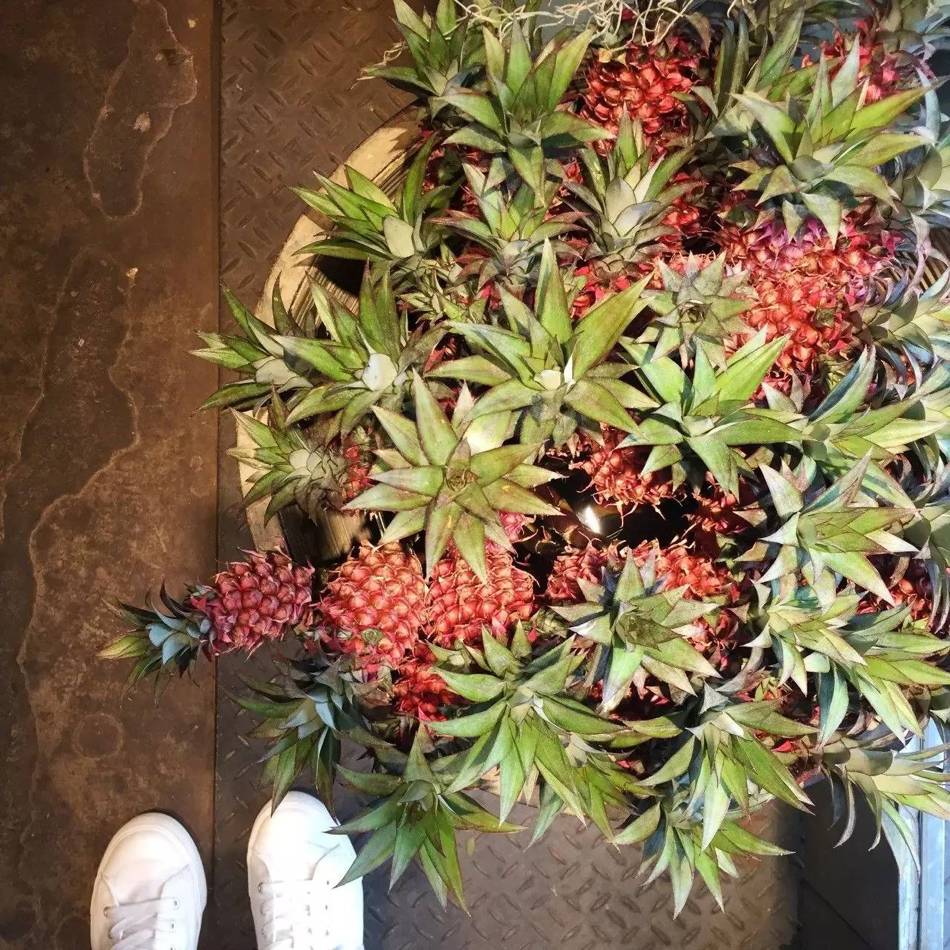 十万步走出的东京花店