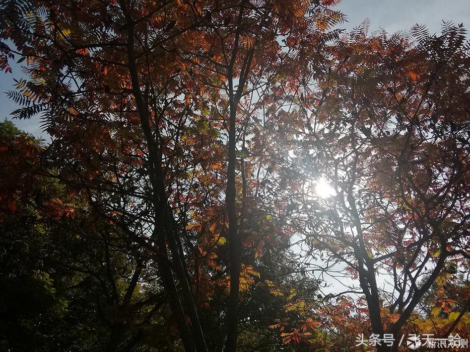 华为平板m3系统升级,华为平板m3电脑模式