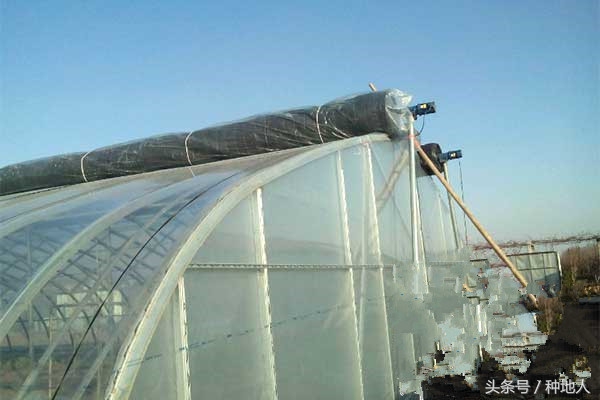 一亩地钢架蔬菜大棚造价要多少钱,建一个一亩的钢架大棚多少钱