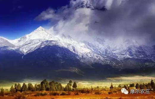 衡水你好，我叫云南，这是我的简历