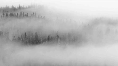 雾霾进了屋里怎么办,雾霾进屋子里了怎么办