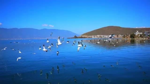 自驾游曼谷,成都到泰国自驾游攻略