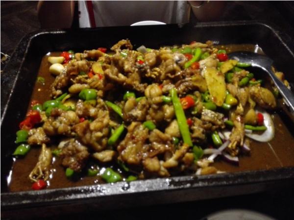 张家界优质导游,张家界良心好评导游