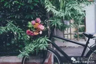 开家花店荒度余生赚得不多,开家花店度过余生