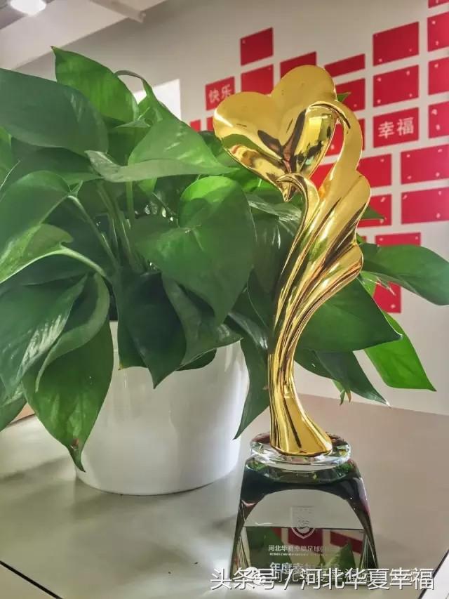 幸福大使2018,华夏幸福贾晓琛