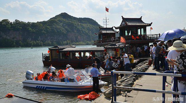 新疆野鹅自驾游视频,野鹅圣诞节自驾游