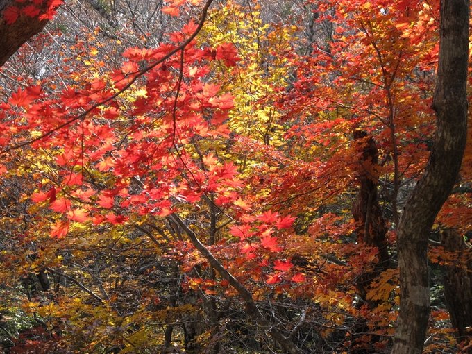 济州岛的生活日常,济州岛消费准备什么