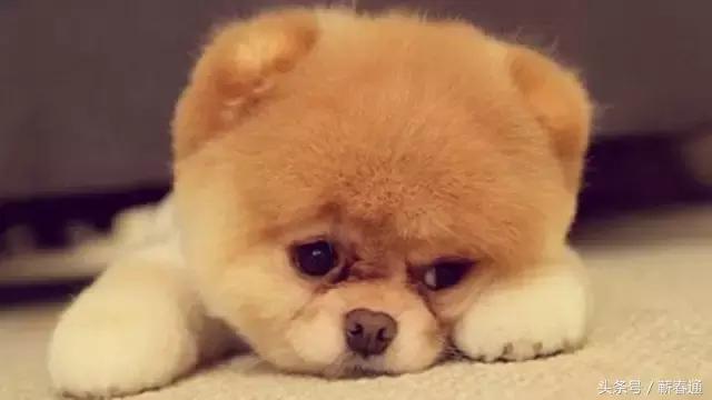 小儿子嫌父亲穷困无知当面辱骂，反被哥哥打脸，干得漂亮！