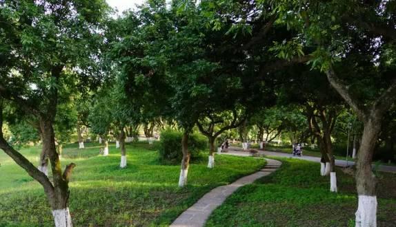 泸州市十大水库排名,泸州大坝工程