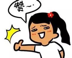 自由女神是众筹的吗,什么是自由女神