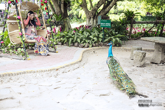 三亚第一市场怎么选海鲜,三亚第一市场海鲜在三亚哪个位置