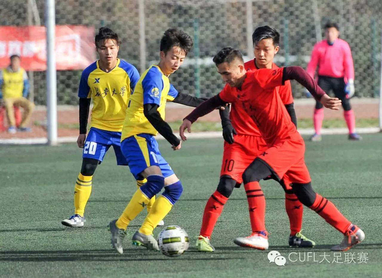 西北狼啸完整视频,西北狼比赛现场燃爆全场