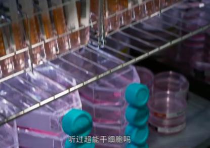 干细胞疗法癌症,生物干细胞真的能治癌症吗