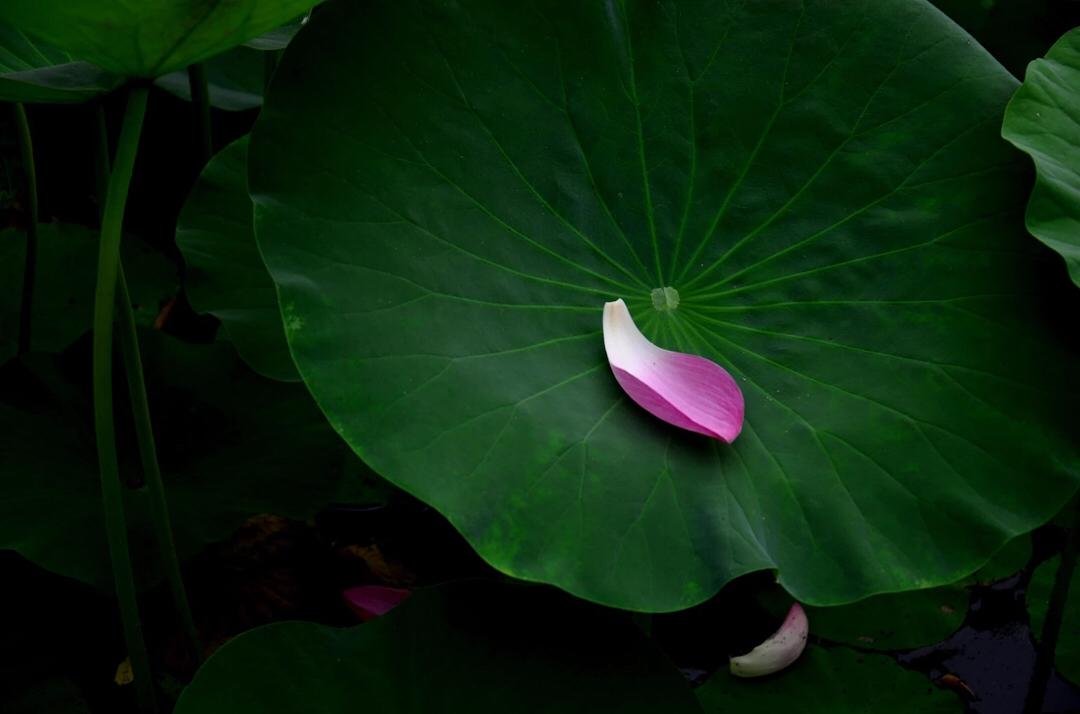 闺蜜之间怎么相处,怎么才可以对闺蜜说甜言蜜语