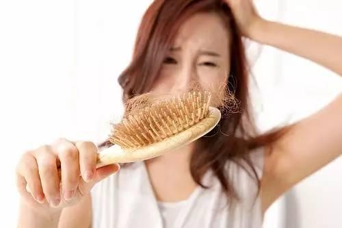 草地可以变更为林地吗,泥土变森林