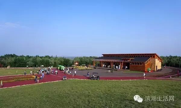 在滨湖，有9类人一眼就会爱上这里！