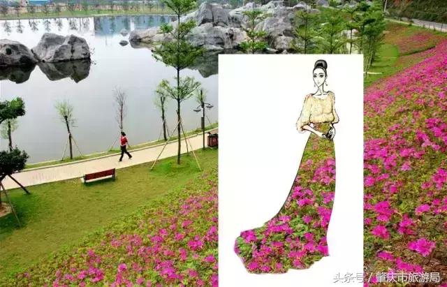 西大下了一场雨,美翻了整个肇庆!