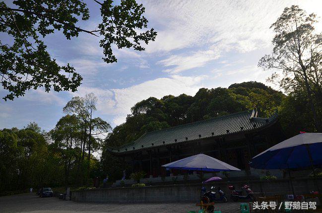 房车自驾阆中古城游玩攻略,野鹅自驾霞云岭