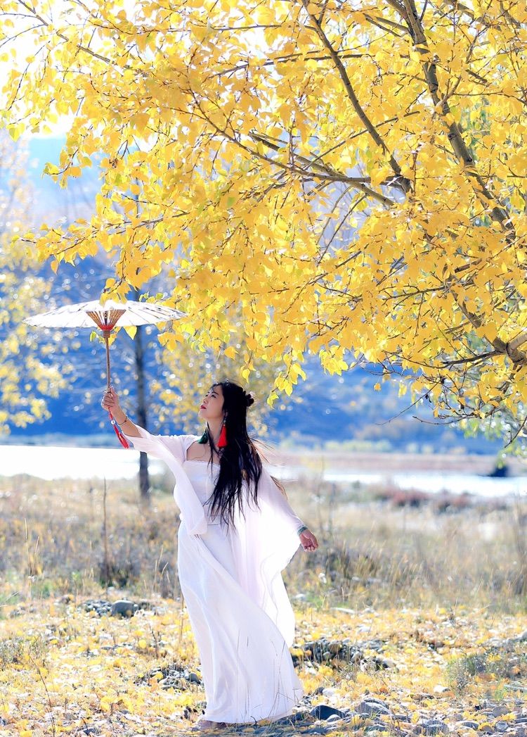 我在秋天等你是什么歌,我在秋天等你美到心碎散文