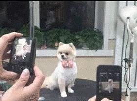 真·鼠皮大衣女子买衣发现内缝老鼠