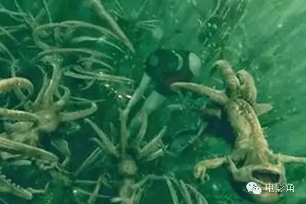 神奇动物在哪里28个彩蛋,神奇动物在哪里2结尾彩蛋