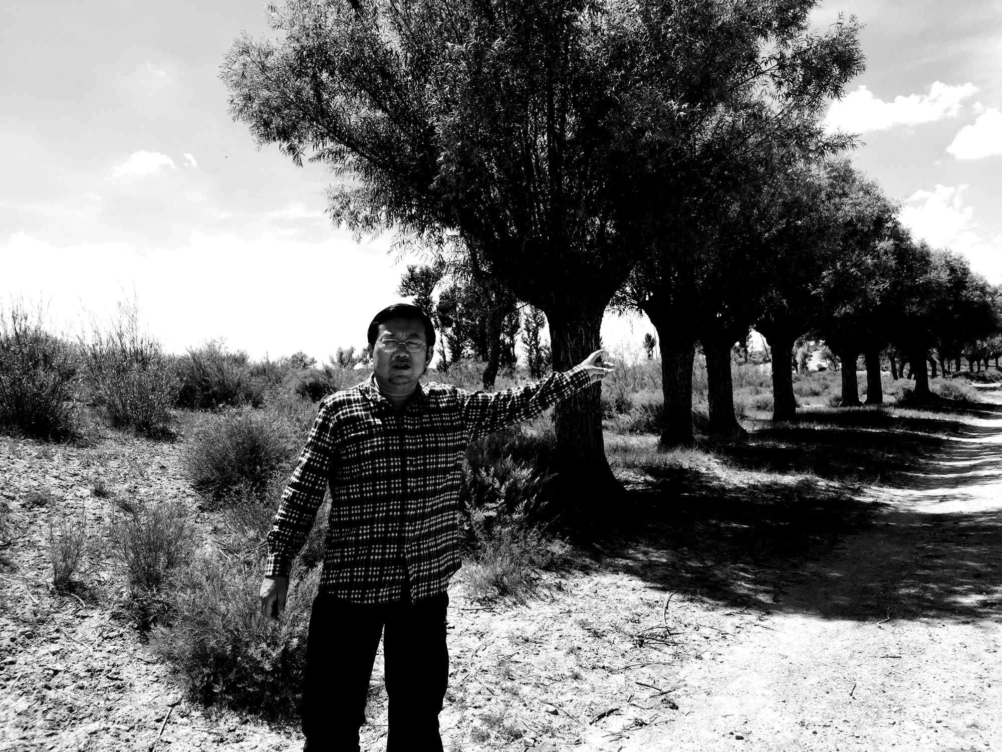 历史丨匈奴最后的遗址：废都统万城