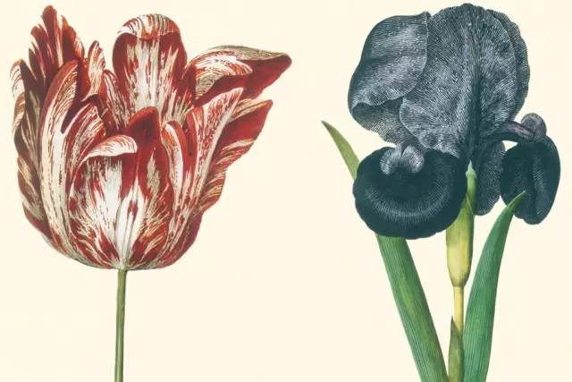 每天给你带来精彩的好书推荐,推荐一本有价值的好书