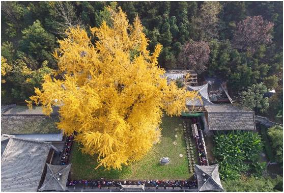 2022年一月三十日新闻速览,11月14日新闻的主要内容