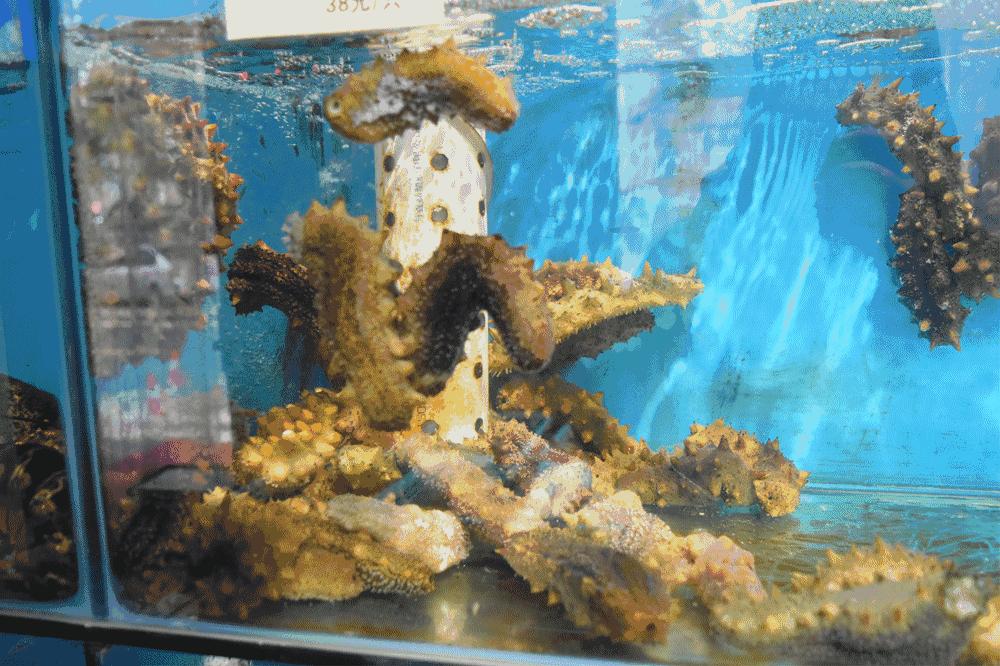 不得了！曾经征服过普京大大的美食，轰动了整条香港路！