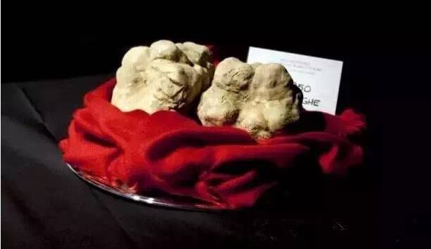 松露新口味,顶级松露的秘密