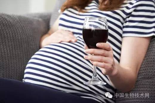酒精对子宫有影响吗,酒精对女性健身的影响