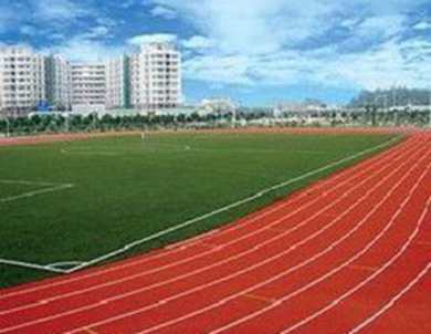 沈阳市体校足球招生,沈阳市体校招生办