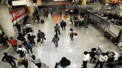 走进海关了解海关,福田口岸海关