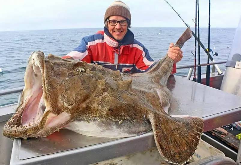 海妖恐怖故事,关于海怪的恐怖传说