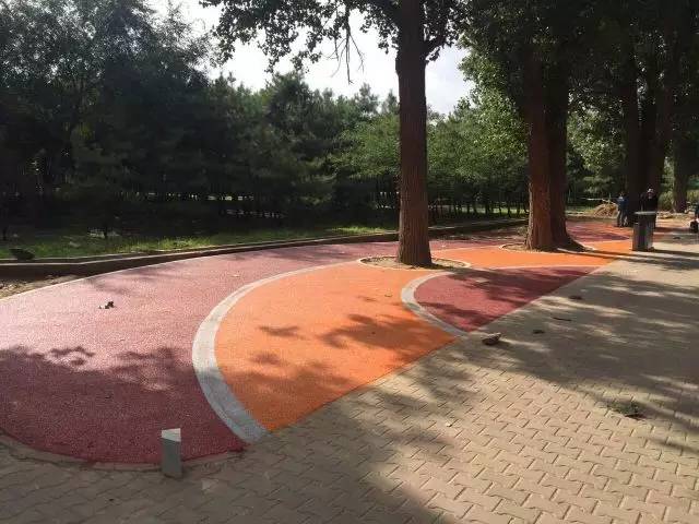 包头城建大项目,包头市新建公园